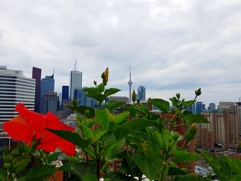 View of cityscape against sky