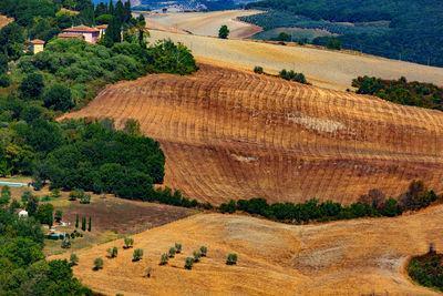 High angle view of agricultural field