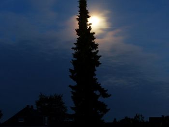 Low angle view of silhouette trees against sky at sunset