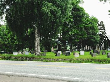 View of cemetery