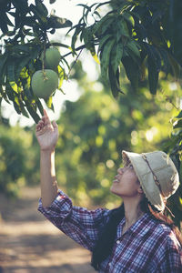 Woman looking at mango growing on tree in farm