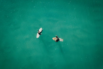 High angle view of people surfing in sea