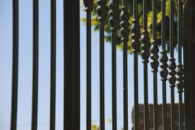 Close-up of fence against plants