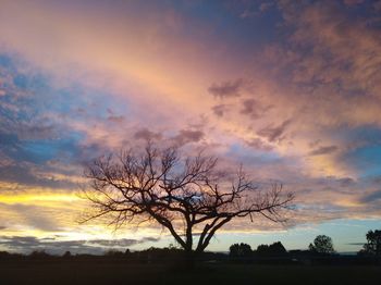 Silhouette bare tree on field against sky at sunset
