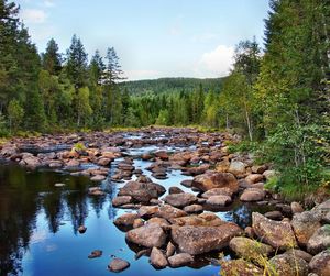 Rocks in river against sky