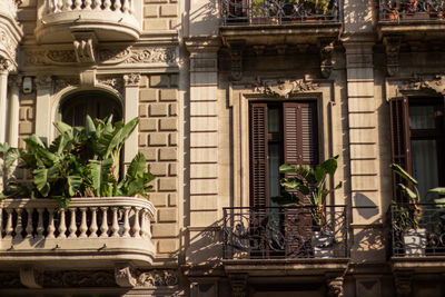 Potted plants on balcony of building