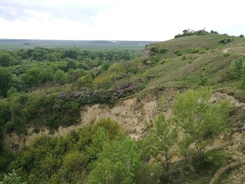 Scenic view of green landscape against sky