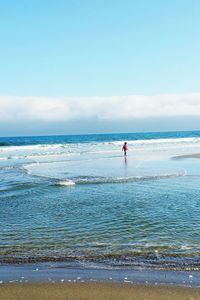 Rear view of man standing on beach against sky