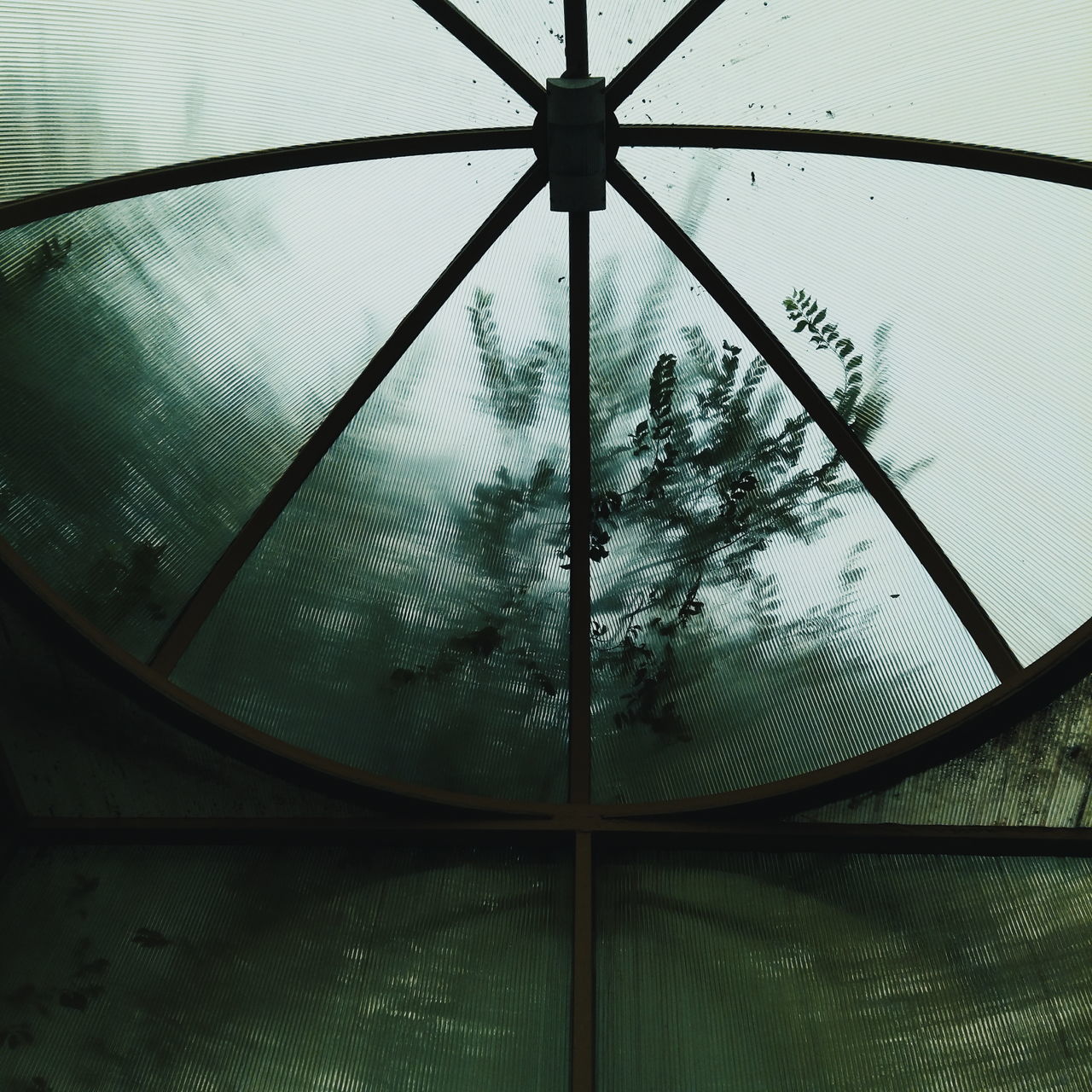 indoors, day, close-up, water, no people, greenhouse, nature, sky