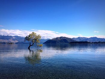 Scenic view of lake against blue sky