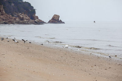 Scenic view of beach against sky