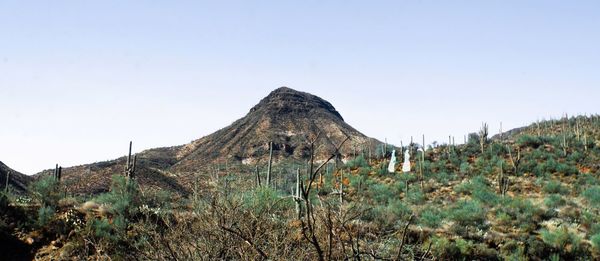 Panoramic view of land against clear sky
