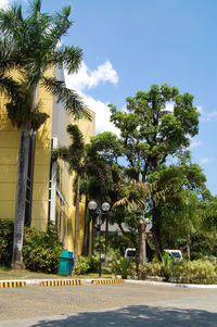 Trees by swimming pool against buildings in city