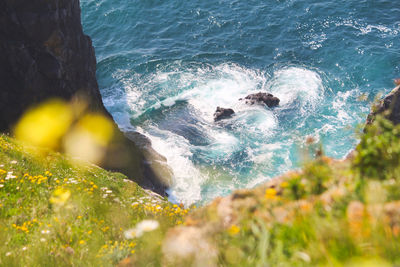 High angle view of rocks on beach