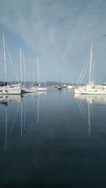 Sailboats moored in marina