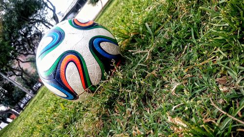 Close up of grass