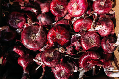 Flat red yalta onion on the counter of the farmers market