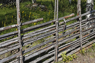 Old traditional farmer fence made of birch bark and long sticks at gammlia