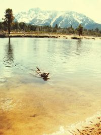 View of lake with mountains in background
