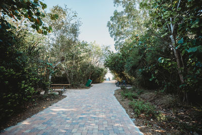 Empty road along trees in park