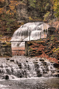 View of waterfall in forest