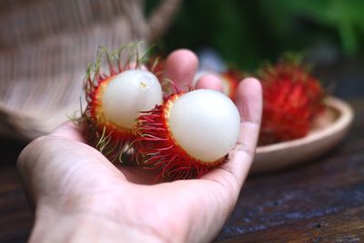 Close-up of hand holding rambutans