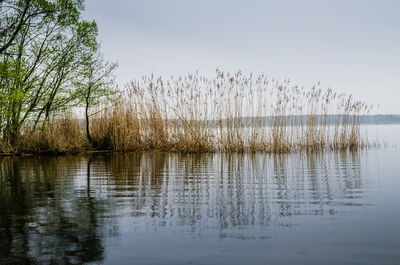 Scenic view of lake against sky at sunset