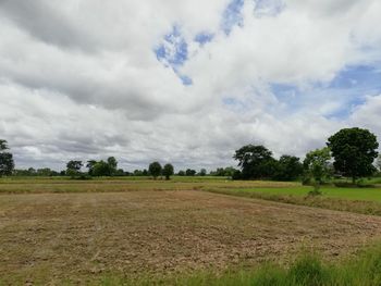 Scenic view of field against sky