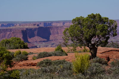 View of rock formation on landscape against clear sky