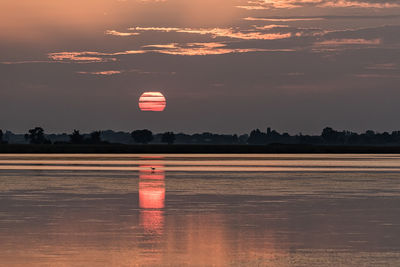 Hot air balloons against sky during sunset