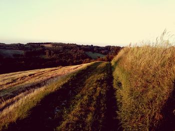 Dirt road passing through field