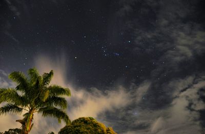 Low angle view of trees against sky