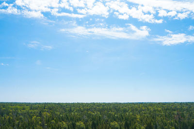 Scenic view of trees against sky