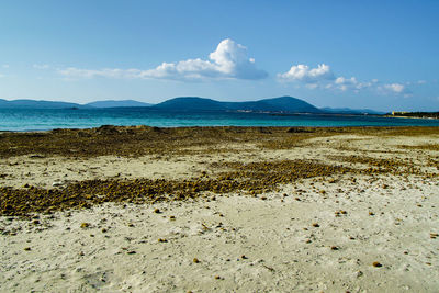 Scenic view of beach against sky