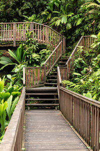 Staircase in garden