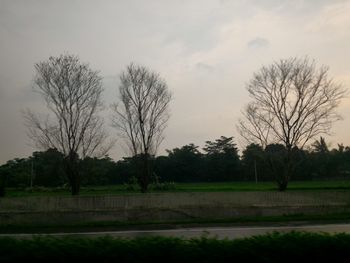 Bare trees on field against sky during sunset