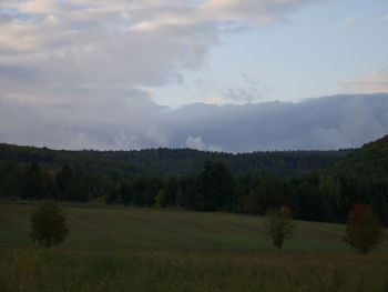 Scenic view of field against sky