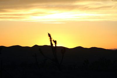 Scenic view of landscape against sky during sunset