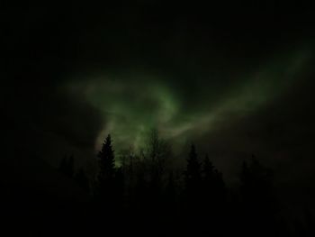 Low angle view of silhouette trees against sky at night