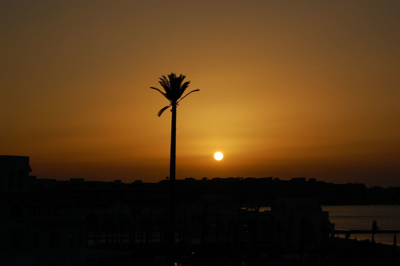 sunset, sky, silhouette, afterglow, horizon, nature, architecture, dawn, tree, beauty in nature, sun, palm tree, no people, built structure, city, orange color, travel destinations, evening, scenics - nature, building exterior, tranquility, tropical climate, outdoors, tranquil scene, sunlight, water, plant, idyllic, building, copy space, dramatic sky, cloud