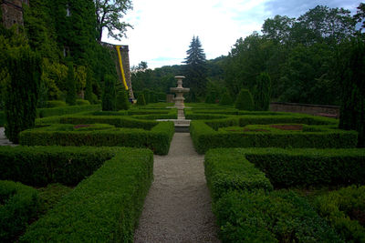 Footpath in garden against sky