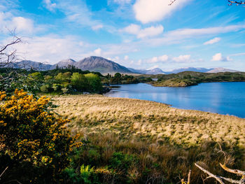 Scenic view of lake and mountains against sky