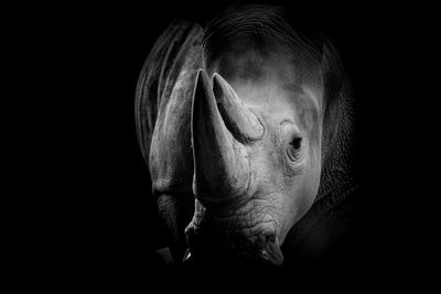 Close-up of human face against black background