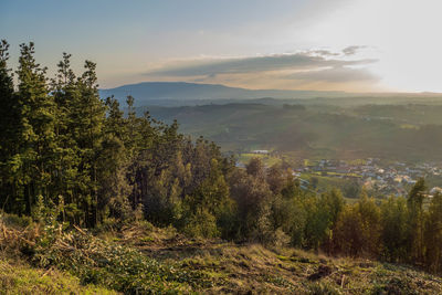 Scenic view of landscape against sky