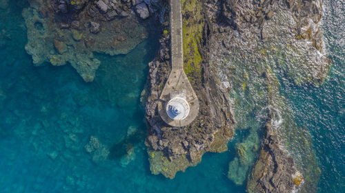 Close-up of turtle in sea