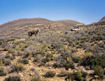 Scenic view of landscape against clear sky