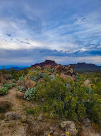 Scenic view of landscape against sky