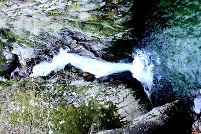 Scenic view of waterfall