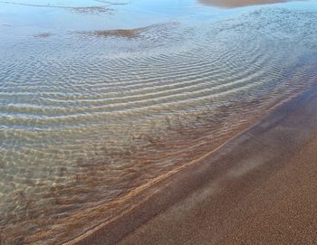 High angle view of beach