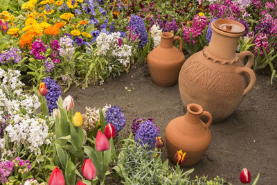 Close-up of multi colored flowers in pot